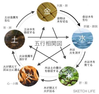 東南風水|風水｜南東の方角が持つ気と運は？開運に効果的な部 